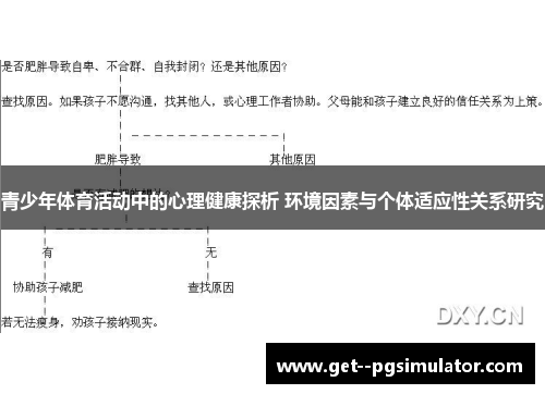 青少年体育活动中的心理健康探析 环境因素与个体适应性关系研究