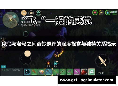魔鸟与老马之间奇妙羁绊的深度探索与独特关系揭示