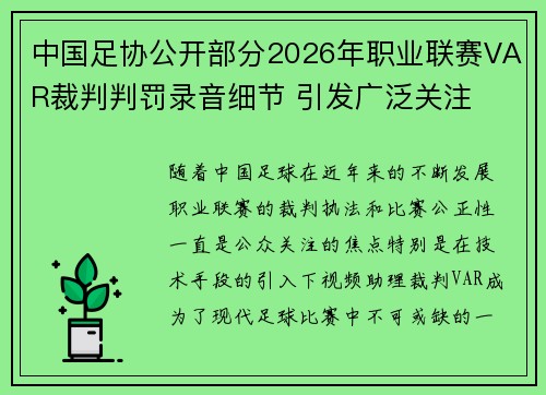 中国足协公开部分2026年职业联赛VAR裁判判罚录音细节 引发广泛关注
