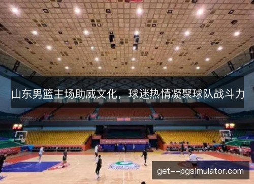 山东男篮主场助威文化，球迷热情凝聚球队战斗力